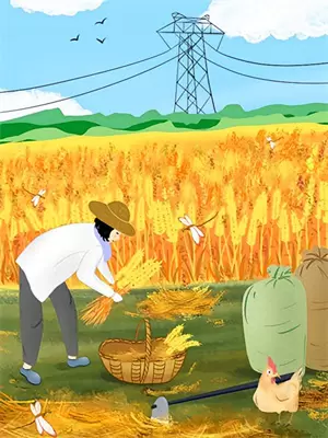 朝夕与四季
