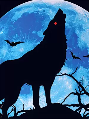 就问你服不服的段子