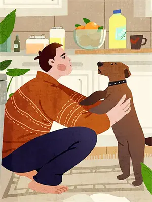 重生霸婿全文免费阅读七猫