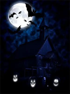 失忆第二季动漫