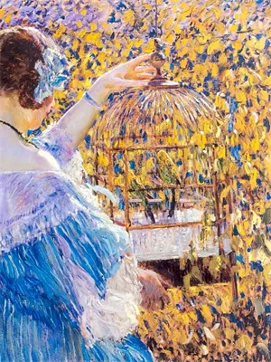 总裁总是套路我免费阅读